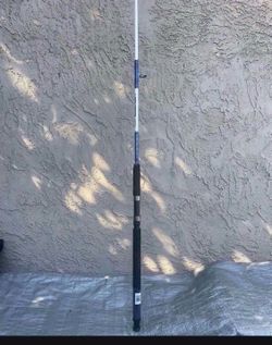 Shakespeare Sturdy Stik Bigwater Casting Rod, 6'6" Medium