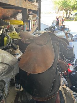 Horses saddle