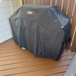 Weber Genesis II Grill