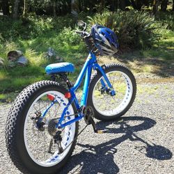 Mongoose Fat Tire Bike