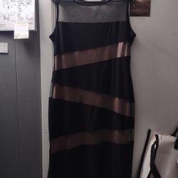 R &M Richards Midi Dress 