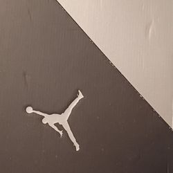  Air Jordan 11 Retro High Jubilee / 25th Anniversary