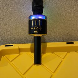 portable wireless Bluetooth karaoke microphone