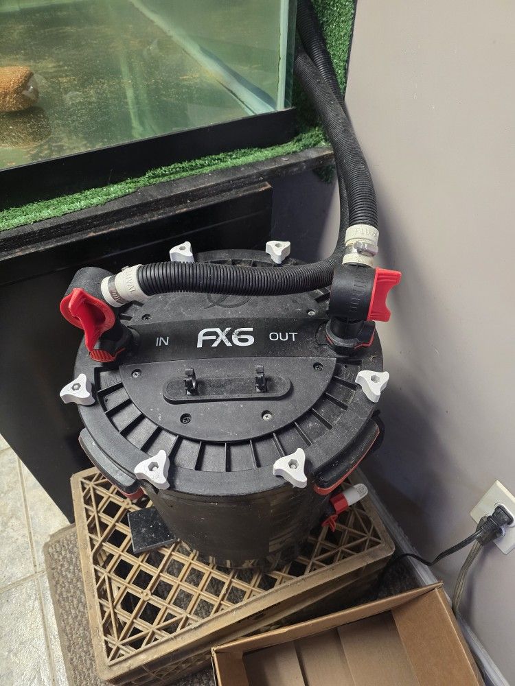 Turtle With Tank & Filter