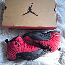 Air Jordan Reverse Flu Game