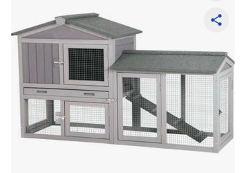 Mini lop hutch