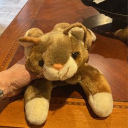 Pounce Beanie Buddy No Tag