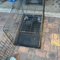 Dog Kennel 