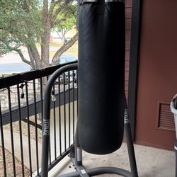 Everlast Punching Bag 