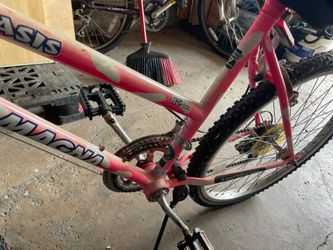 Cute women’s bike