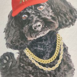  $ CASH $  For GOLD Jewelry