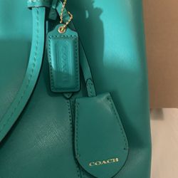 Bolsa Coach