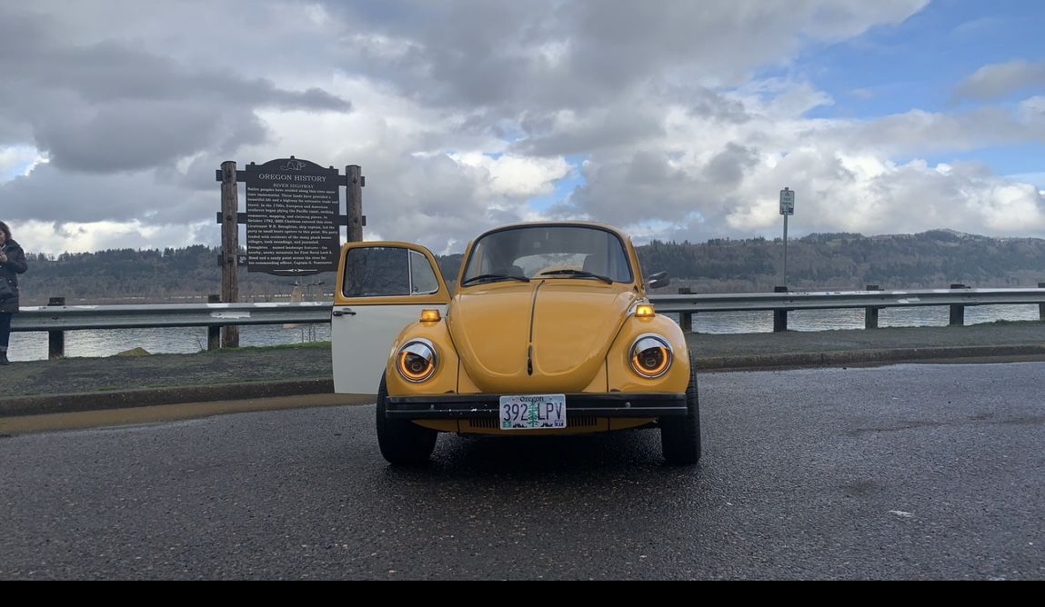 Volkswagen Beetle, Bumble Bee