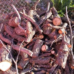 Free Just Bring Out Your Saw There's More Than What's In The Picture