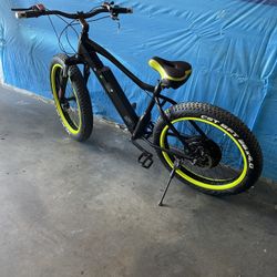 Electric Bike