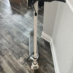 Segway Ninebot Ekickscooter Zing