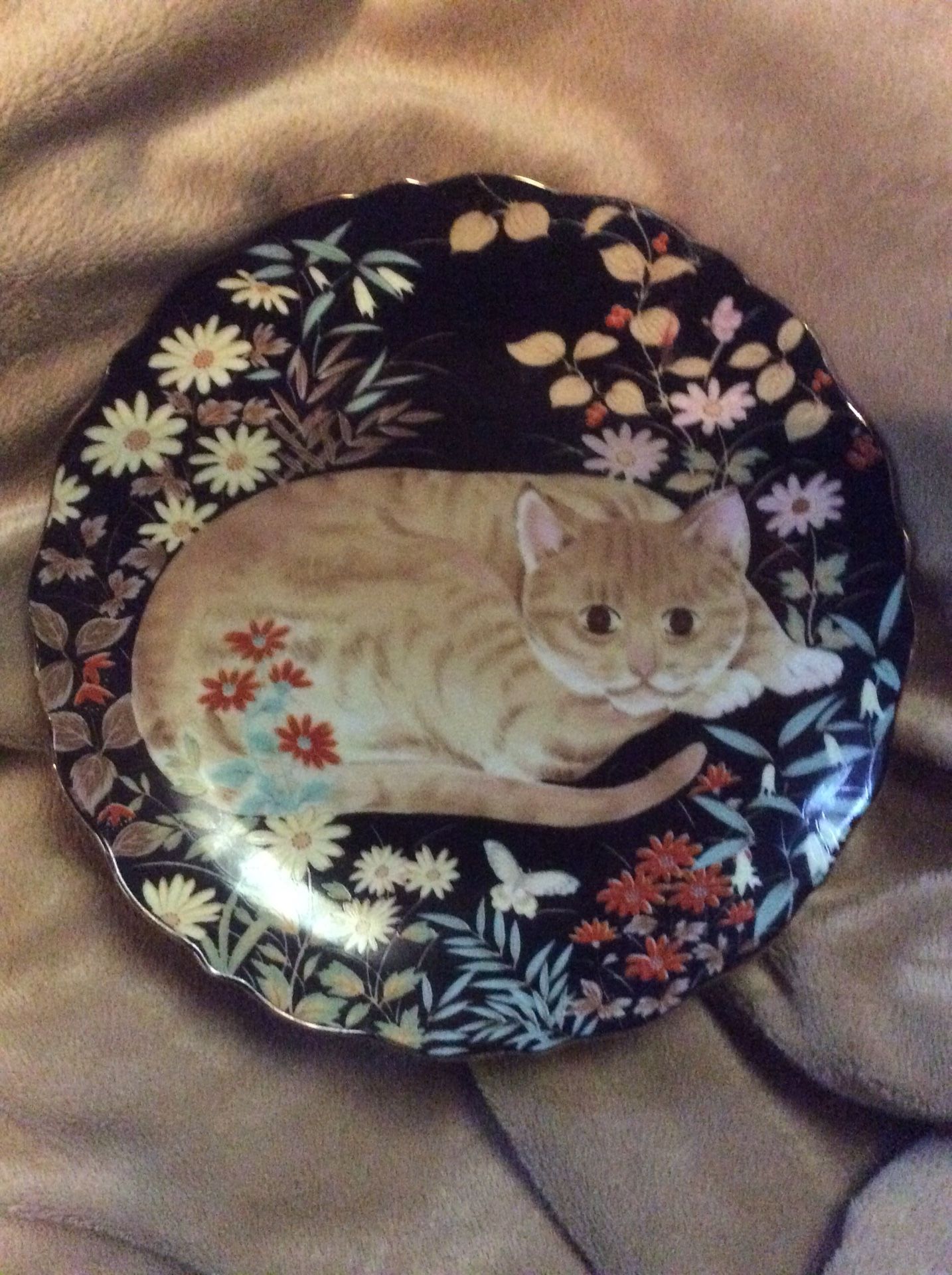 Cat Plate