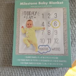 Baby Milestone Blanket