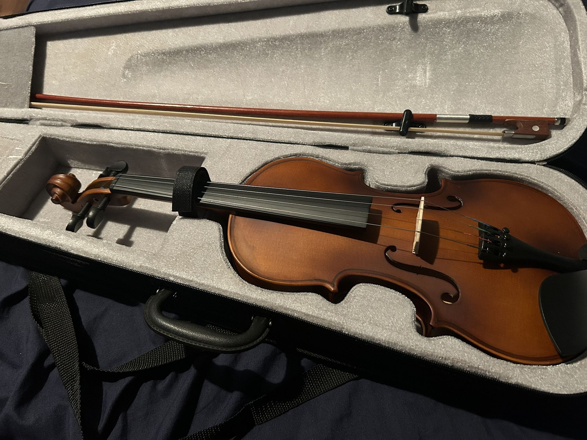 Violin