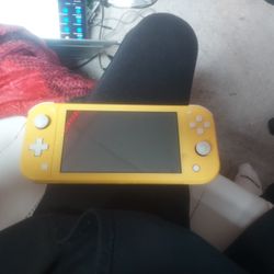 Nintendo Lite