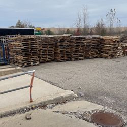Pallets Come Pick up Most Are Free
