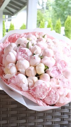 Peonies Bouquet