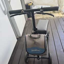 Walker Scooter