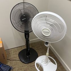 Basic Fans