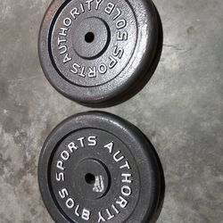 Weights Standard Size 1in $100