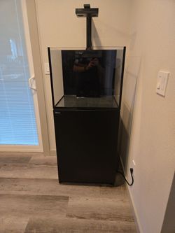 Redsea reefer 170