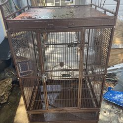 Bird cage/ Jaula De Pájaros 