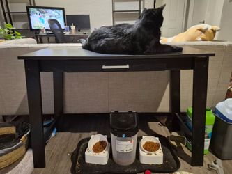 Sofa Table