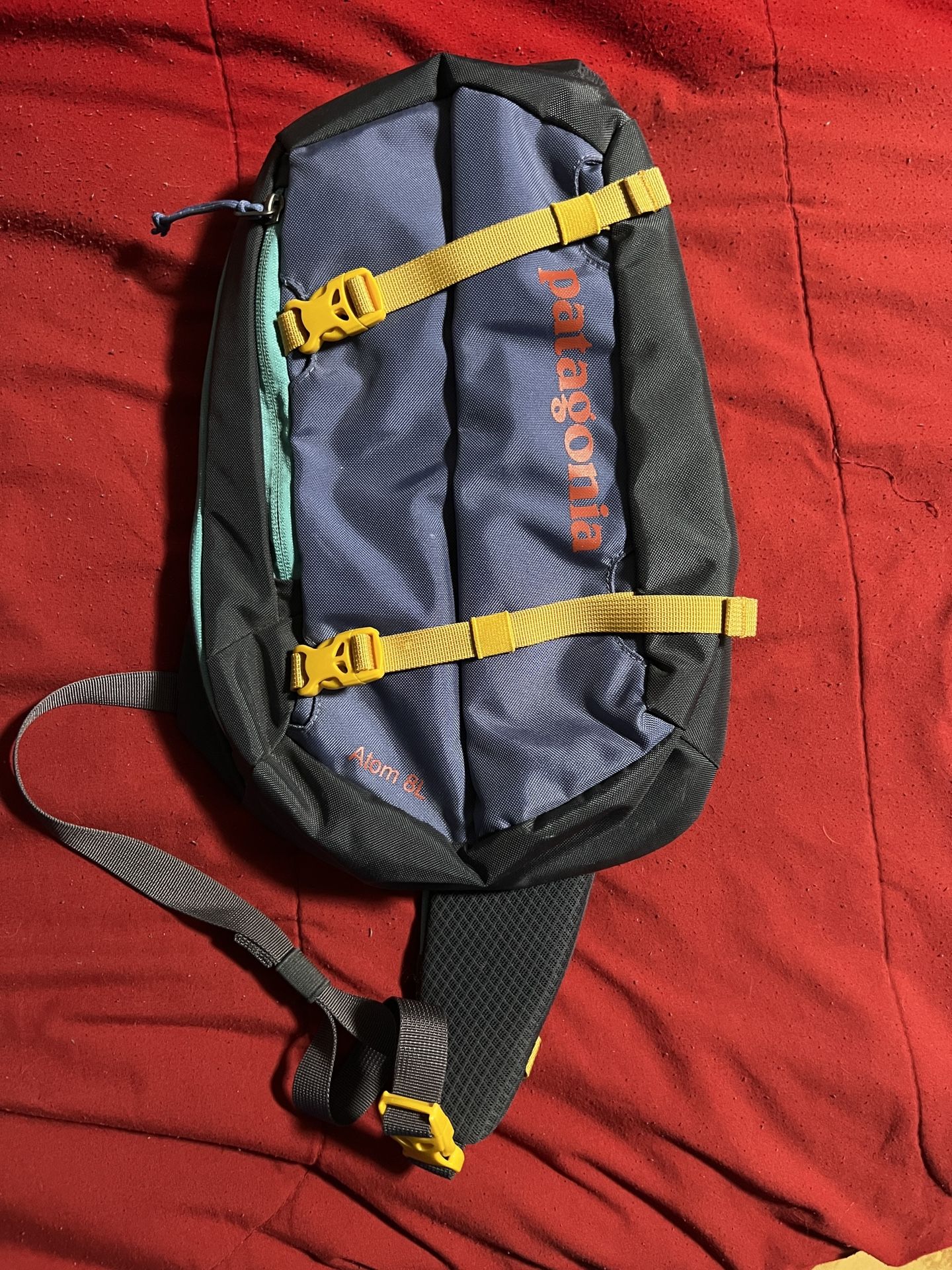Patagonia
