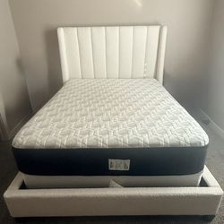 Queen Mattress Only 