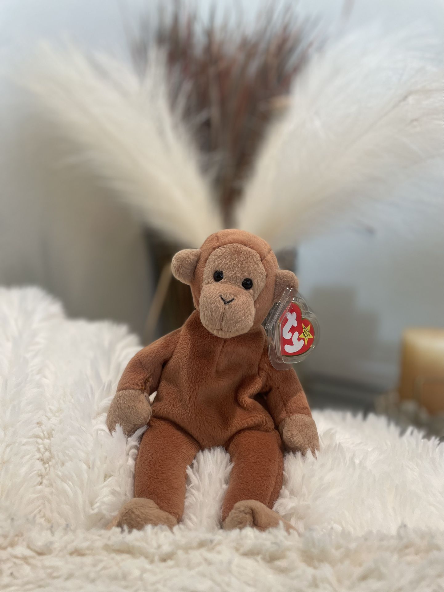 Original Beanie Baby (Bongo The Monkey)