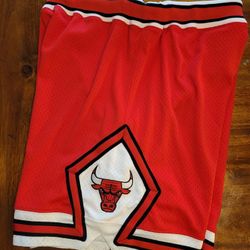 Mitchell & Ness Authentic Chicago Bulls BASKETBALL SHORTS