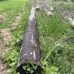 Telephone Poles