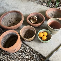 Terra Cotta Mcm Bowls Vintage Cactus Tropical Plants 