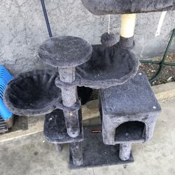 Cat House 