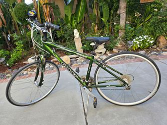 Giant bike