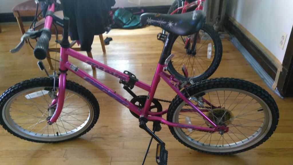 Little girls mountain bike 20"