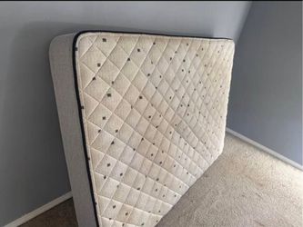 Free mattress