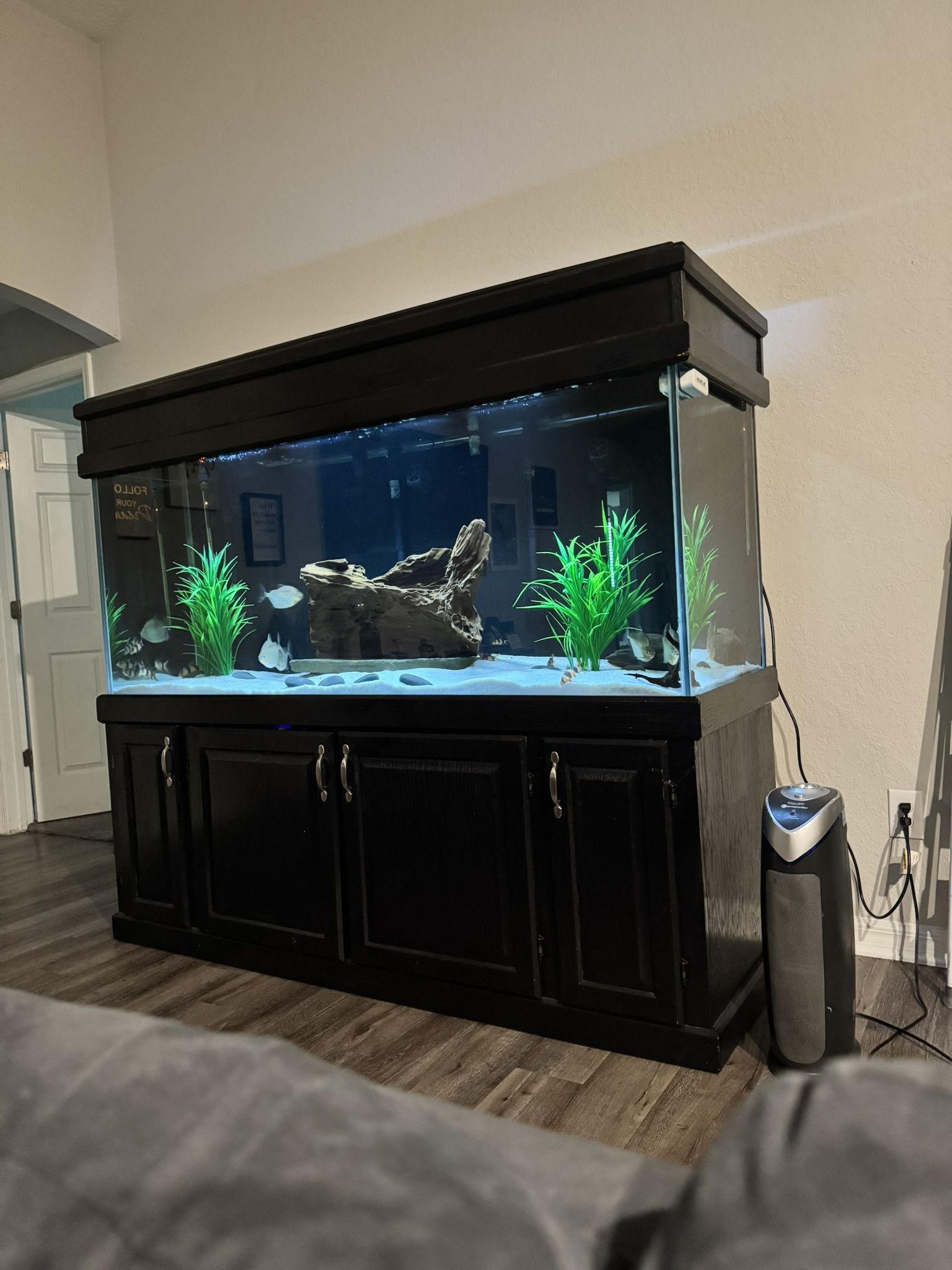 220 Gallon Aquarium 
