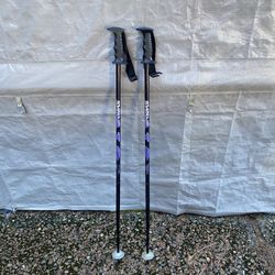 Ski Poles - 110cm