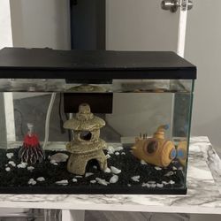 Fully Equipped Fish Tank