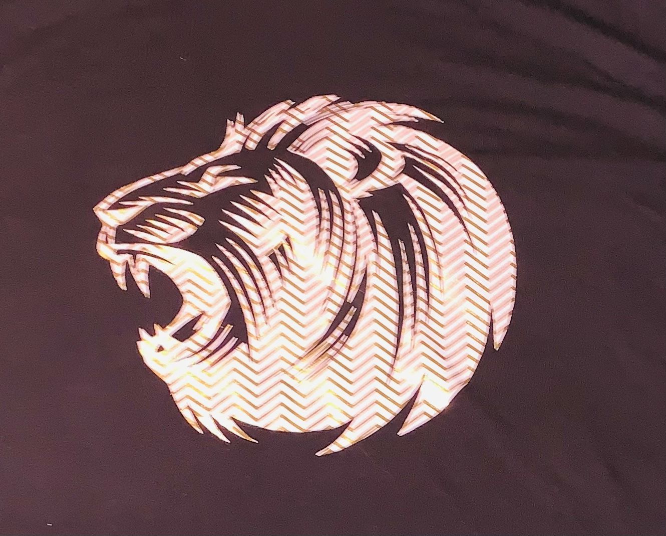 Zodiac T-Shirts—Leo & Scorpio