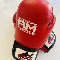 Boxing Leather  gloves 12oz