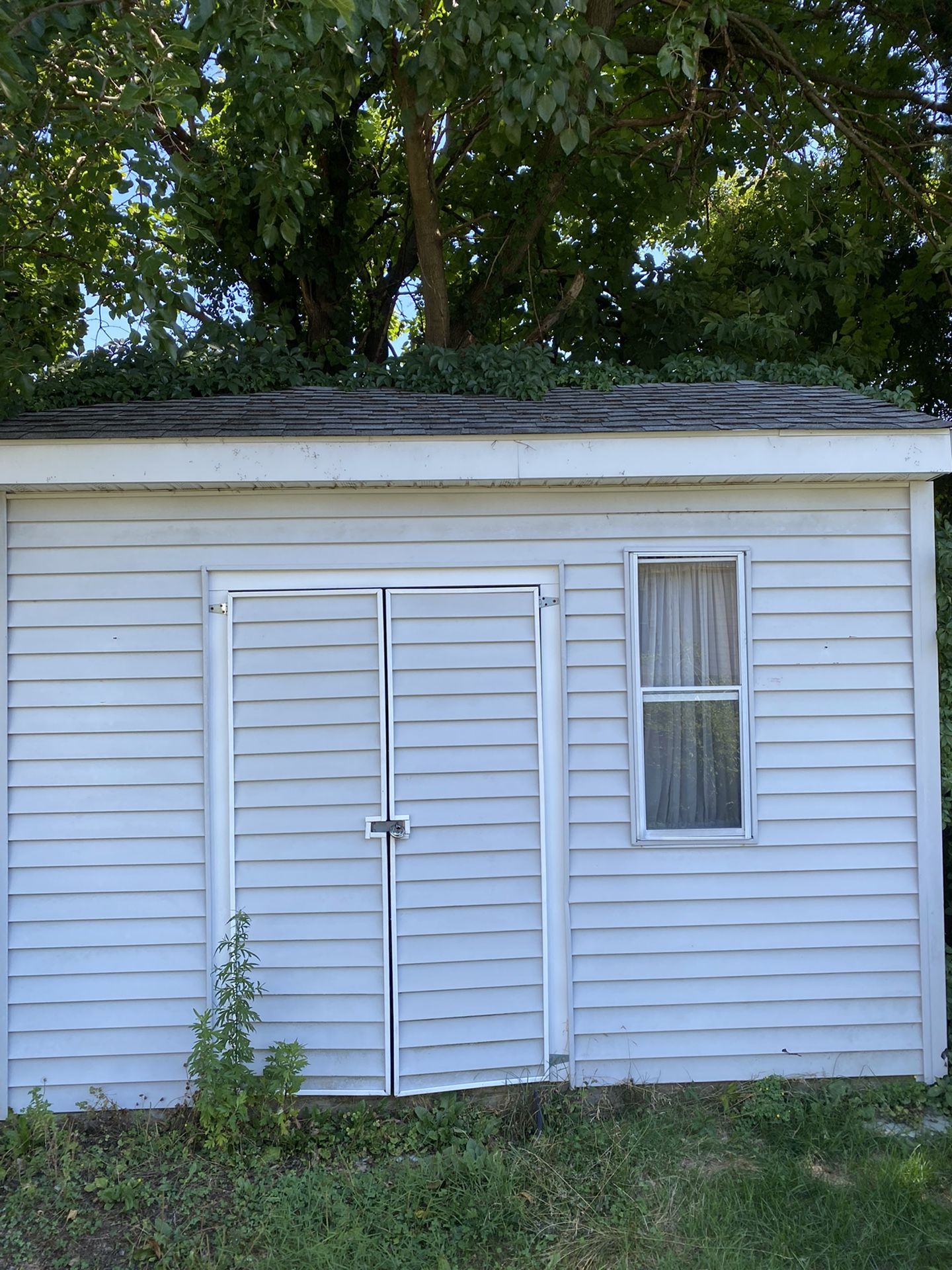 Shed $1,000.