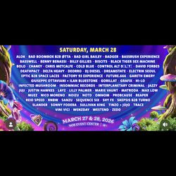 Beyond Wonderland Saturday GA