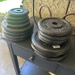 Brand New 1” Weights With Curl Bar